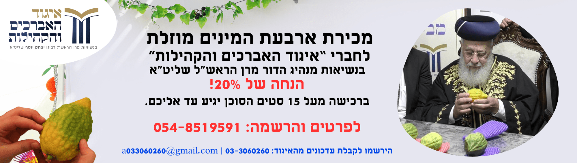 תמונת באנר