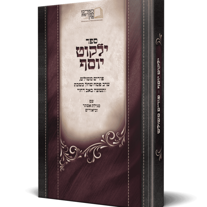 הדמיה-כריכה-פורים-משולש_optimized.pngדחוס