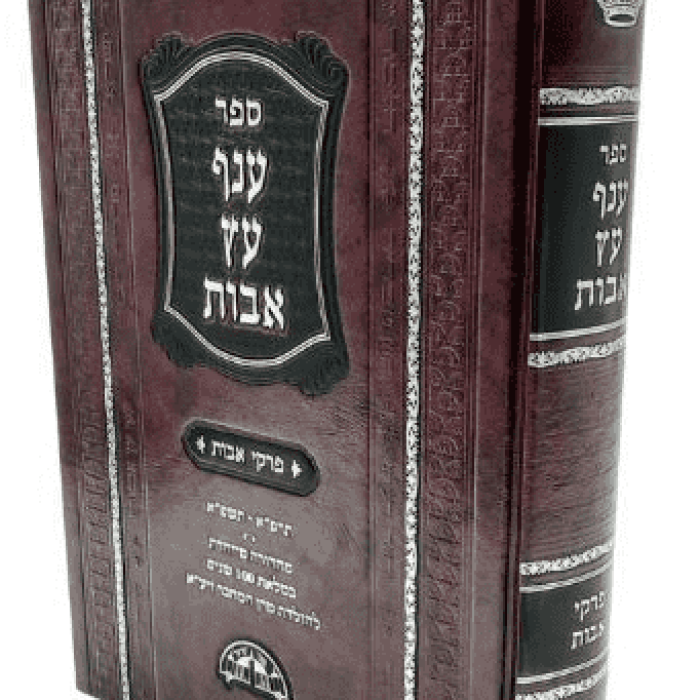 ענף-עץ-אבות-החדש_optimized